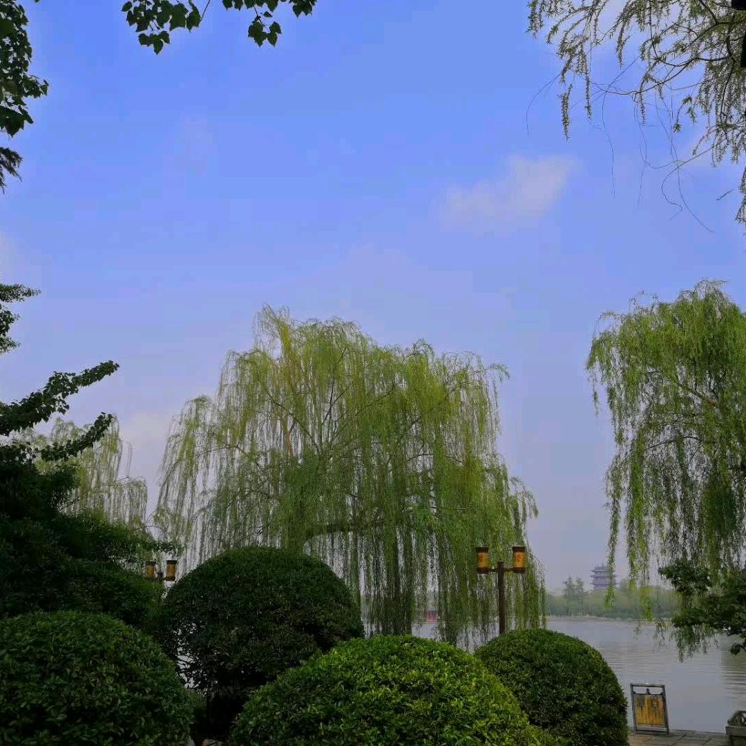 户社巧