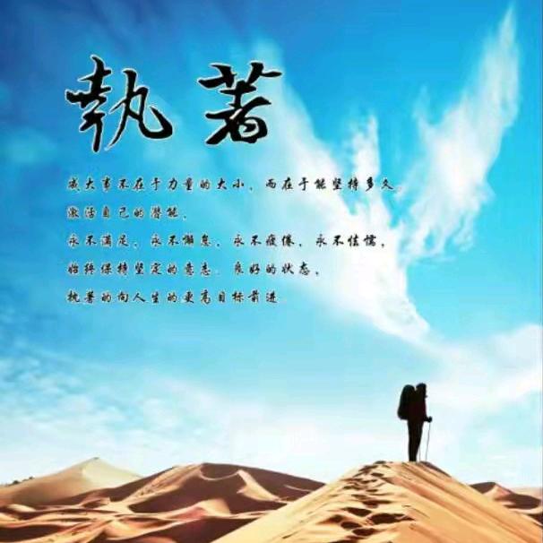 执着6688