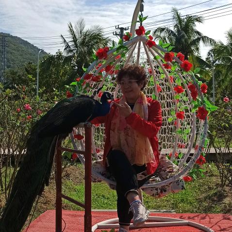 淡若清风