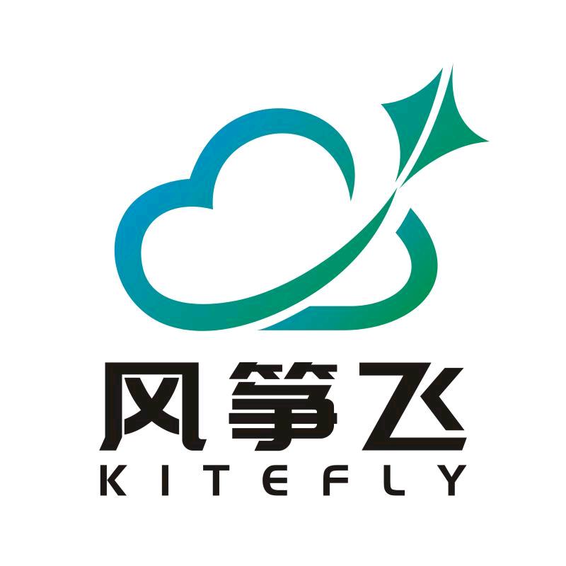 风筝飞智能设备专营店