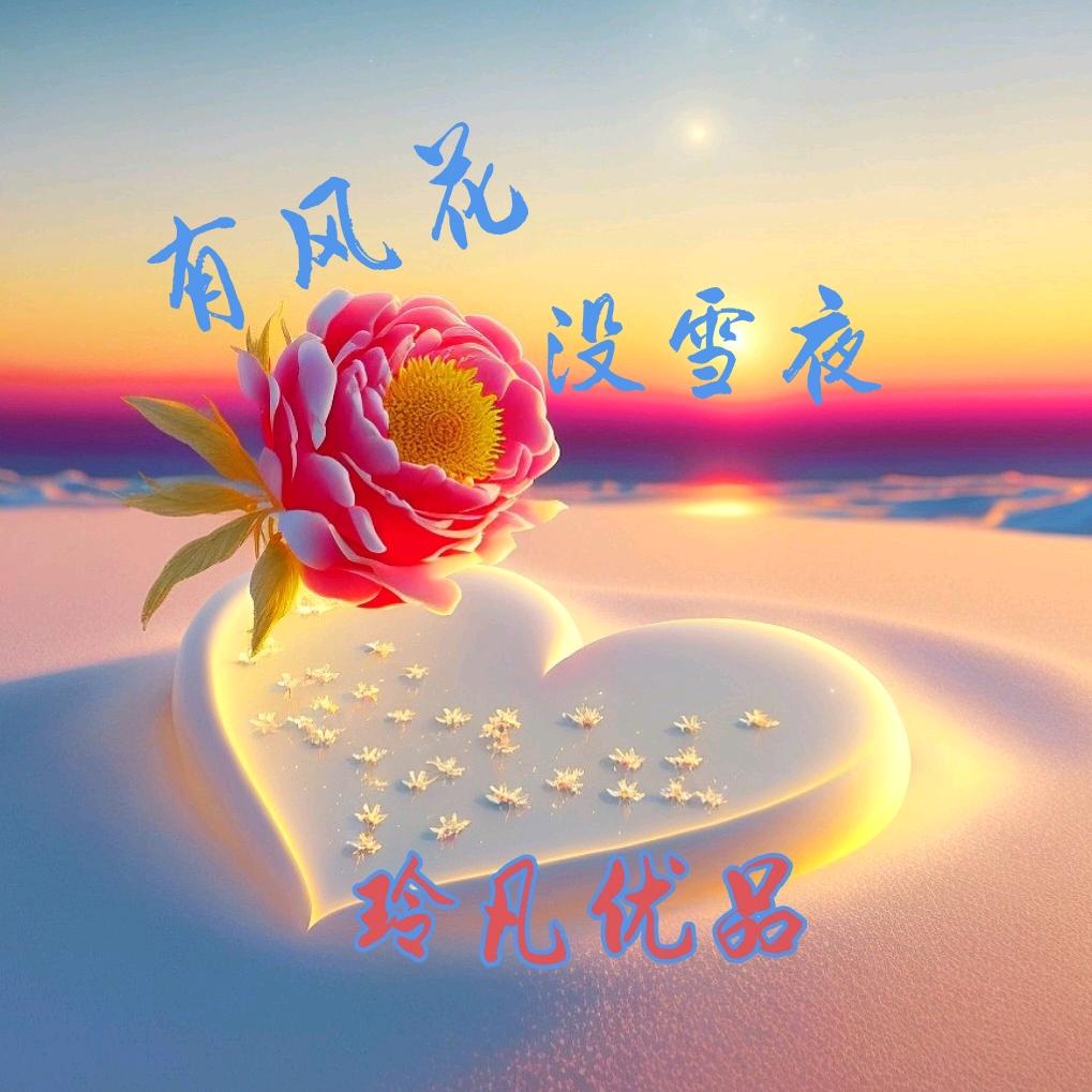 有风花没雪夜