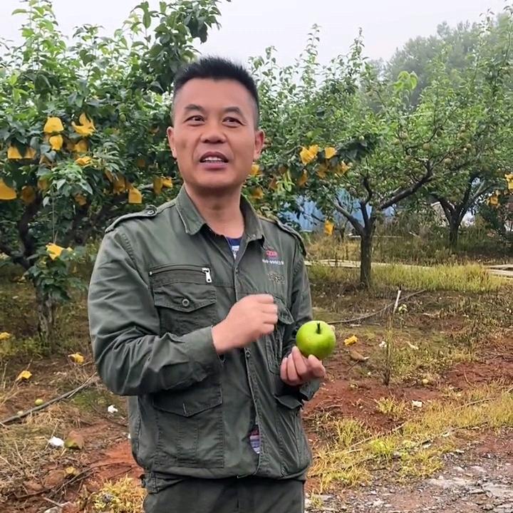 全中农业-唐老师技术交流