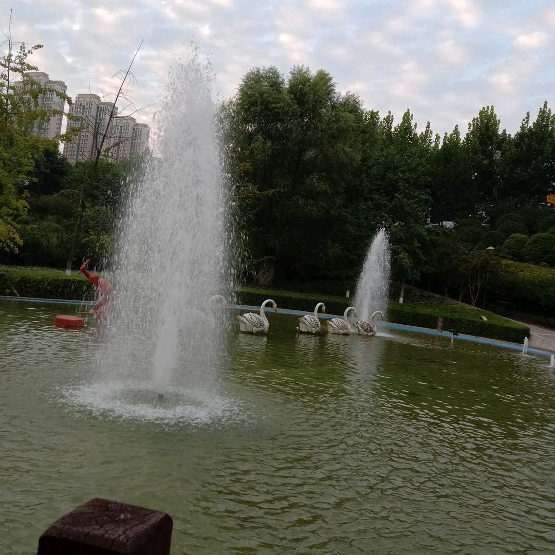 王锡琴