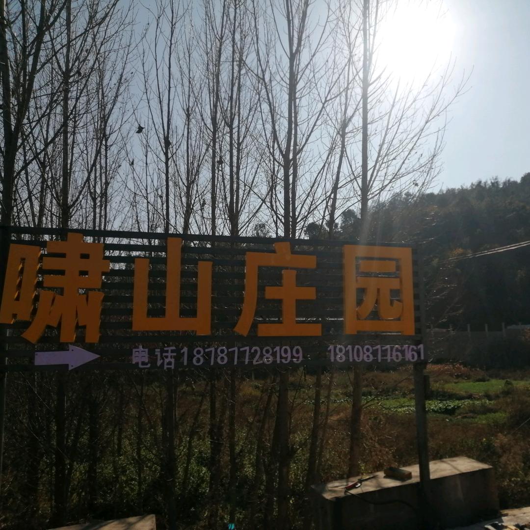 明星啸山庄园房车营地