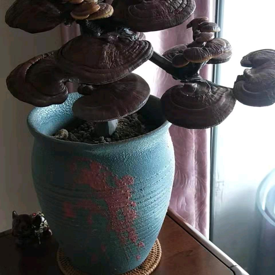 知足常乐，