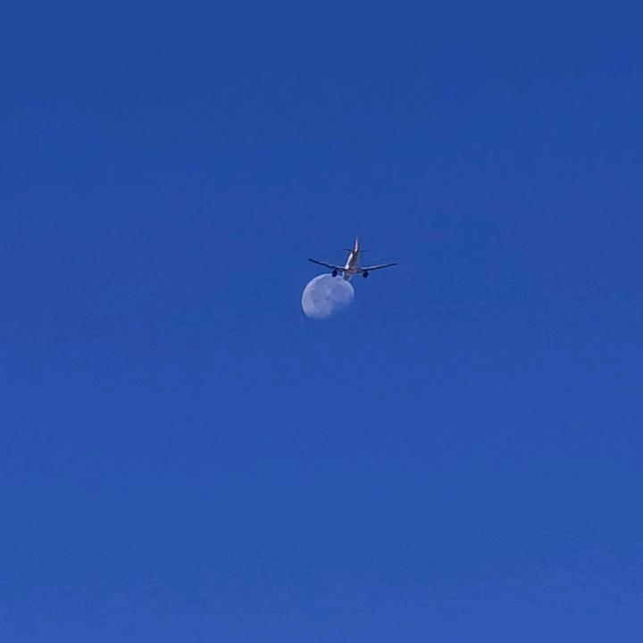 @盛连平真牛（西瓜视频，头条同步）