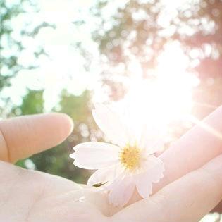 ✔🌈@岁月静好🎊🎊♣