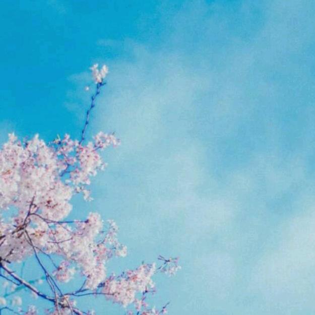 芳草✨