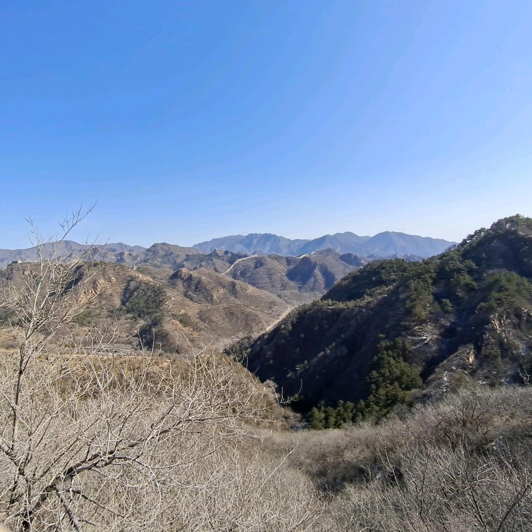 缘分小哥