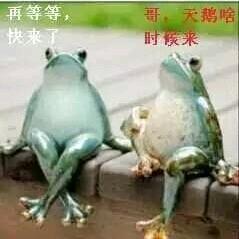 笑看人生🎃
