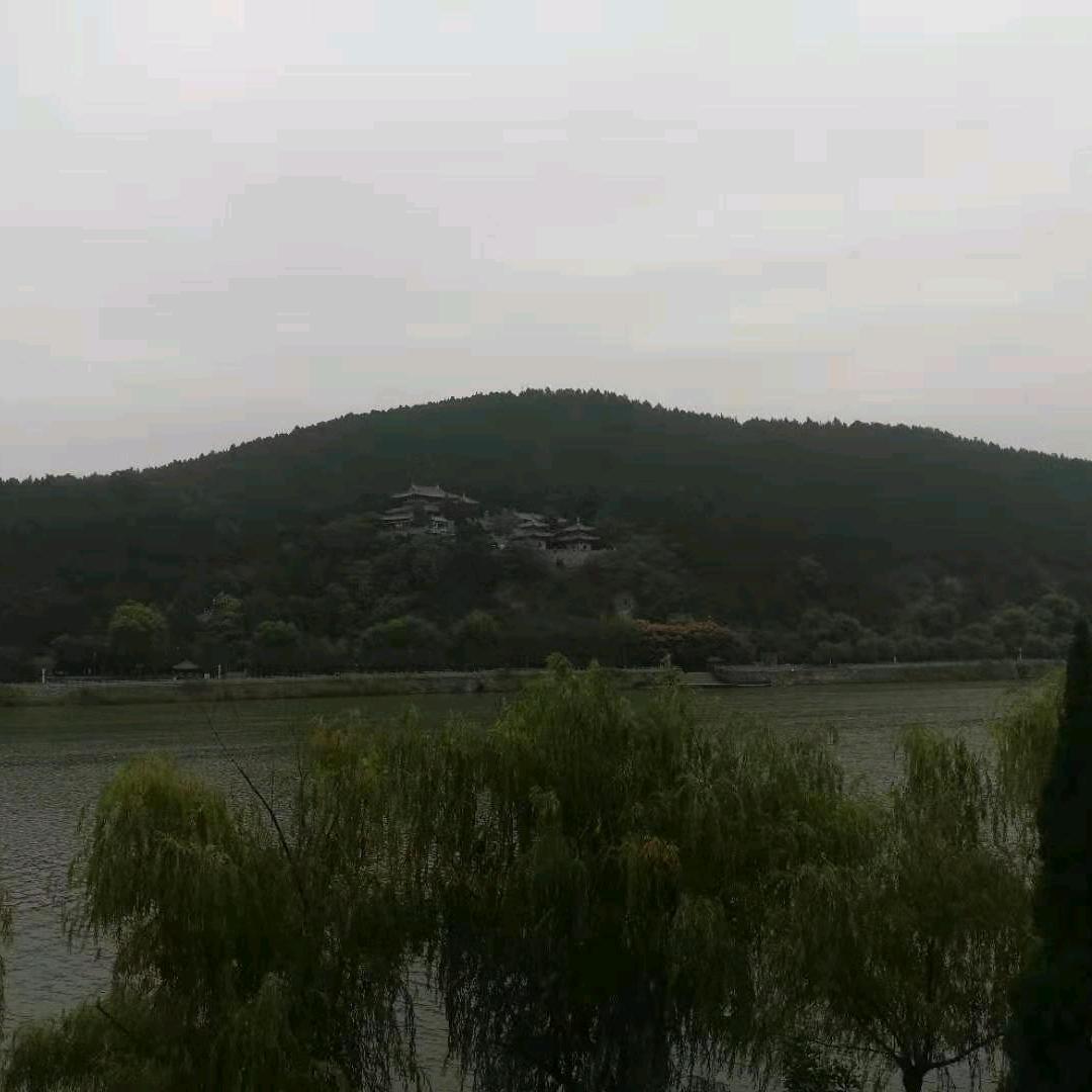 顺其自然