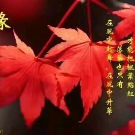 以微笑示人