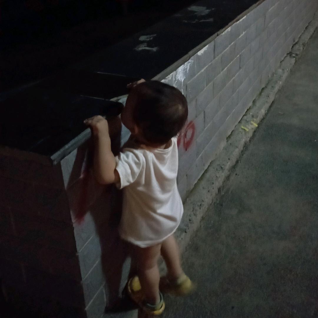 远走故乡的狼