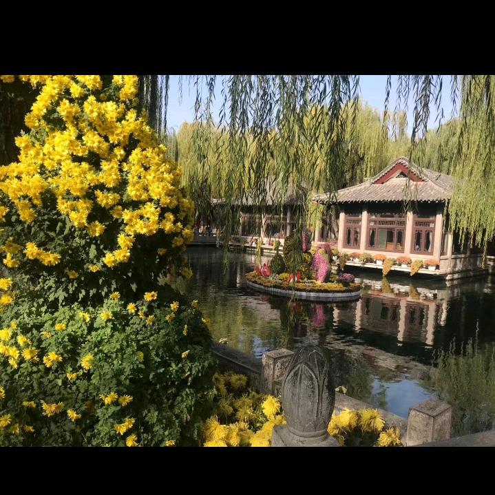 多善