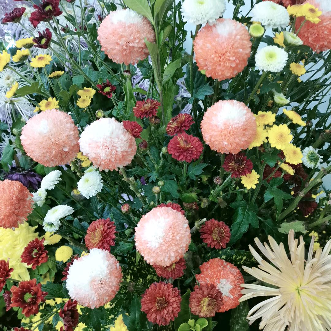 💗陈救驾来迟 }ོꦿృ༊