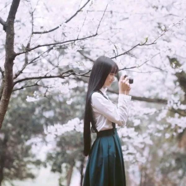 🌹再见时光🌹