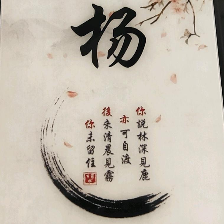 暖洋杨