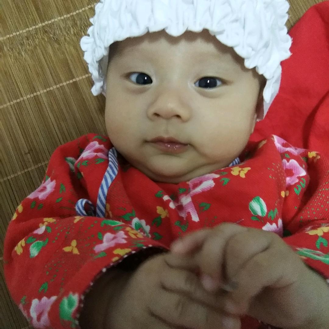 半夏