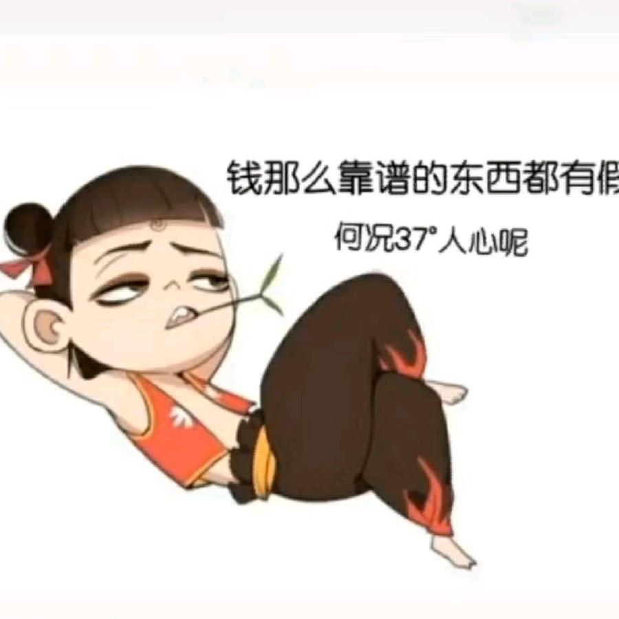 皮弹Solo周