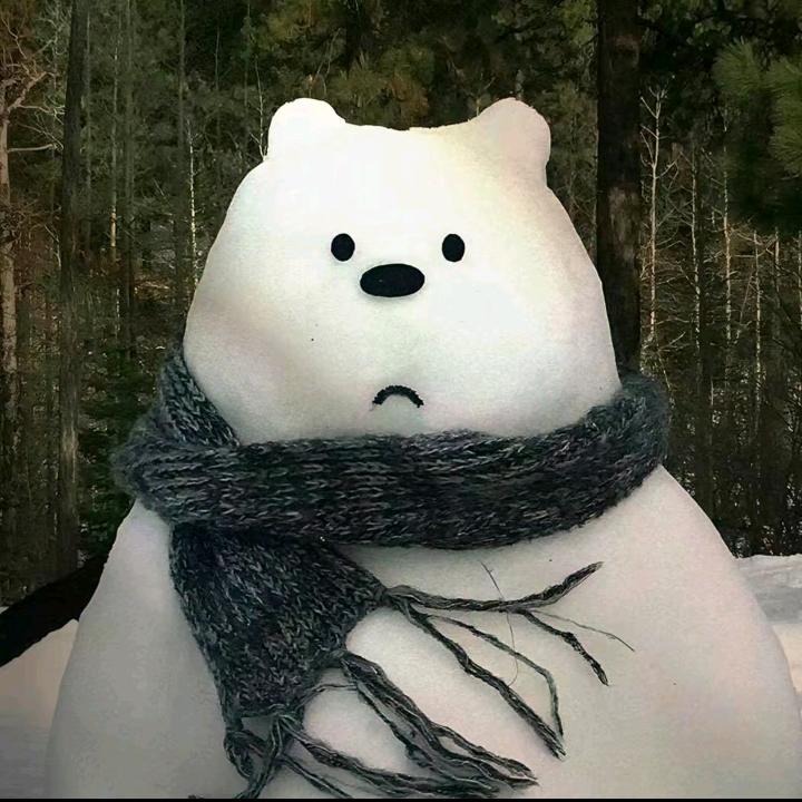 智.