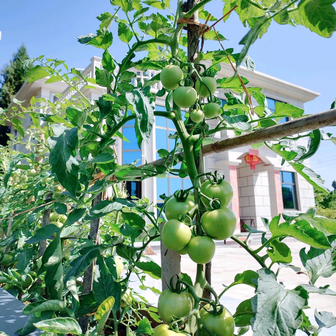 🇨🇳久彦🇨🇳