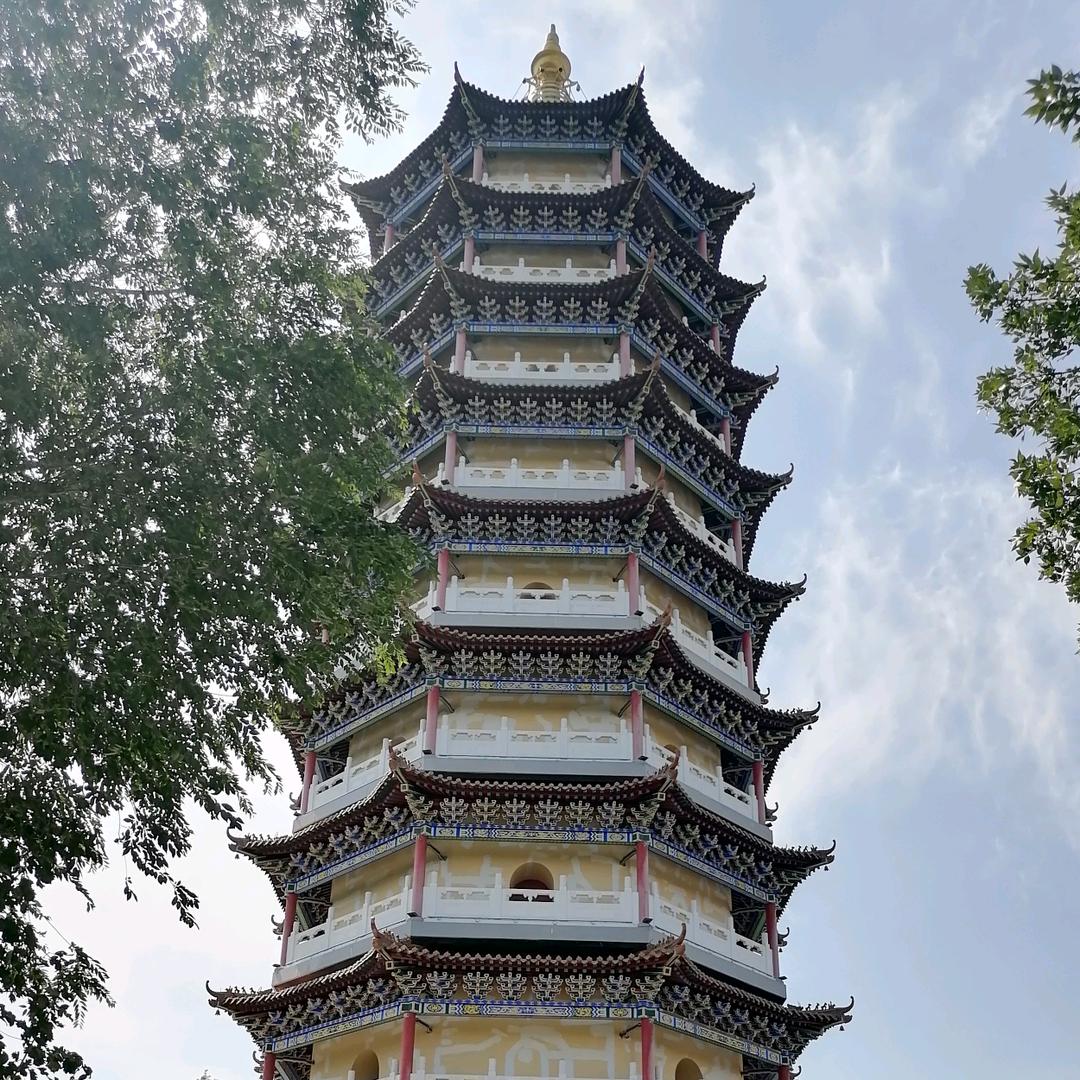 人生何处不相冯