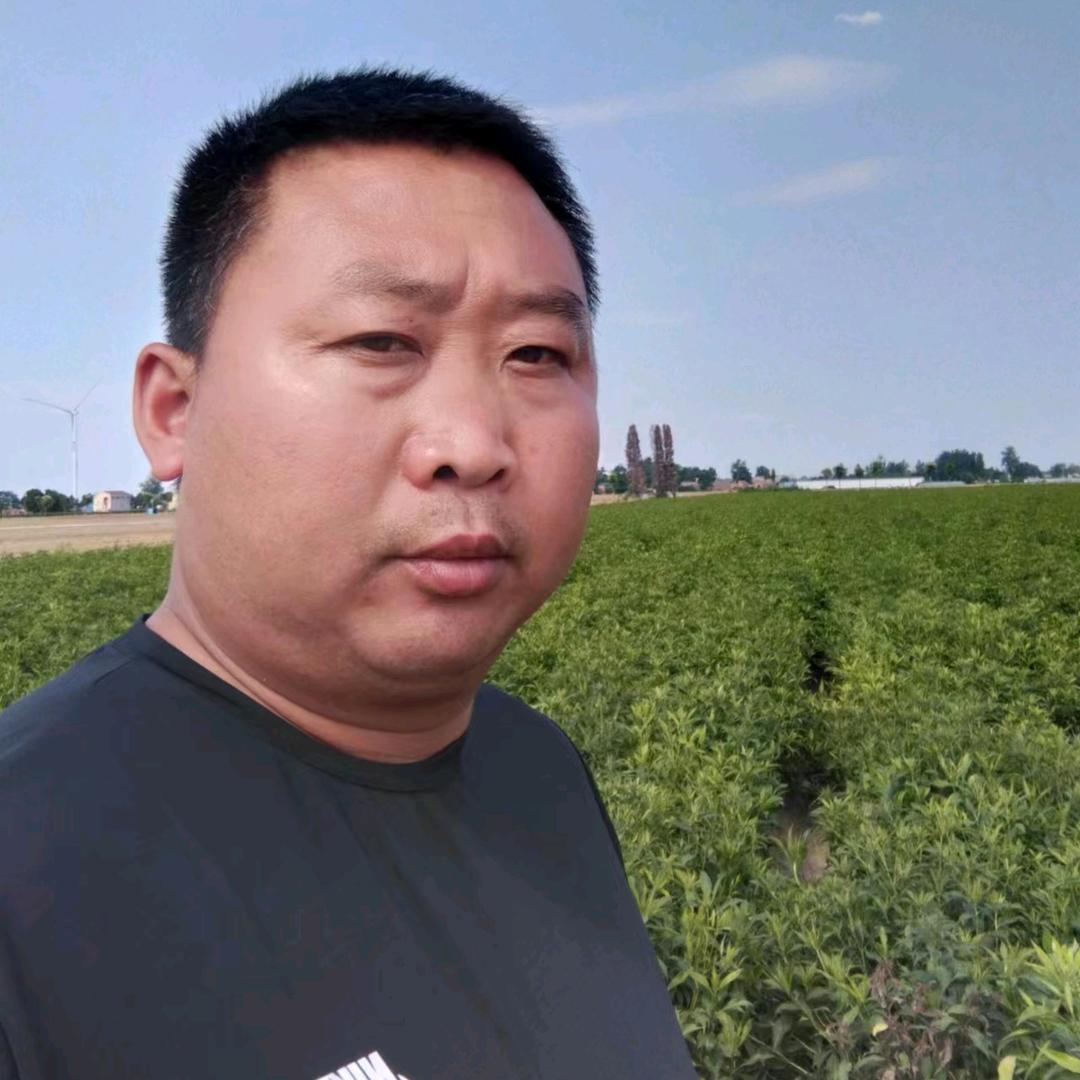 抖音药材状元
