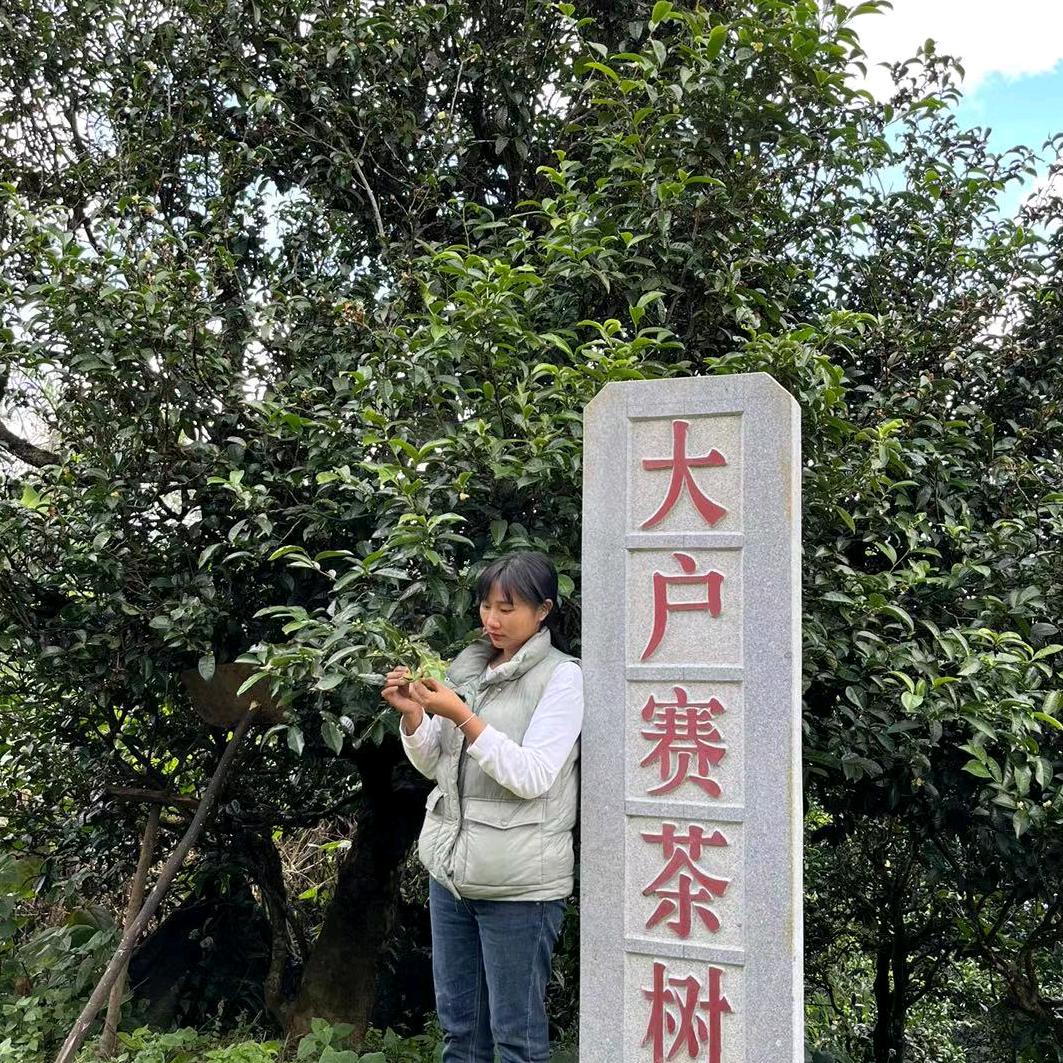 冰岛兰德茶庄