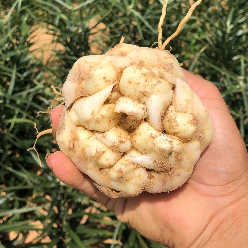 三十多岁的90后