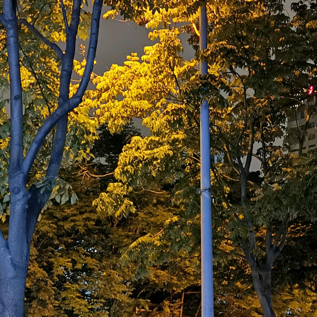 患得患失