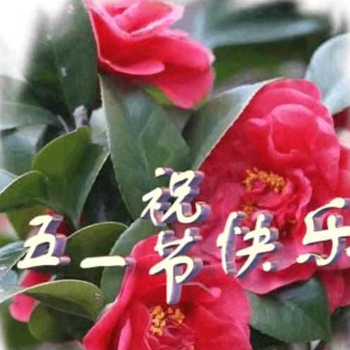 幸福快乐？