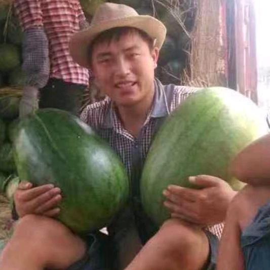 果乐鲜西瓜专卖