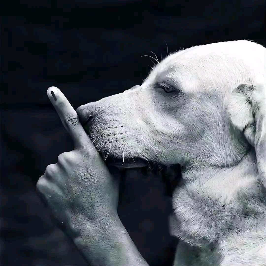 北·巷
