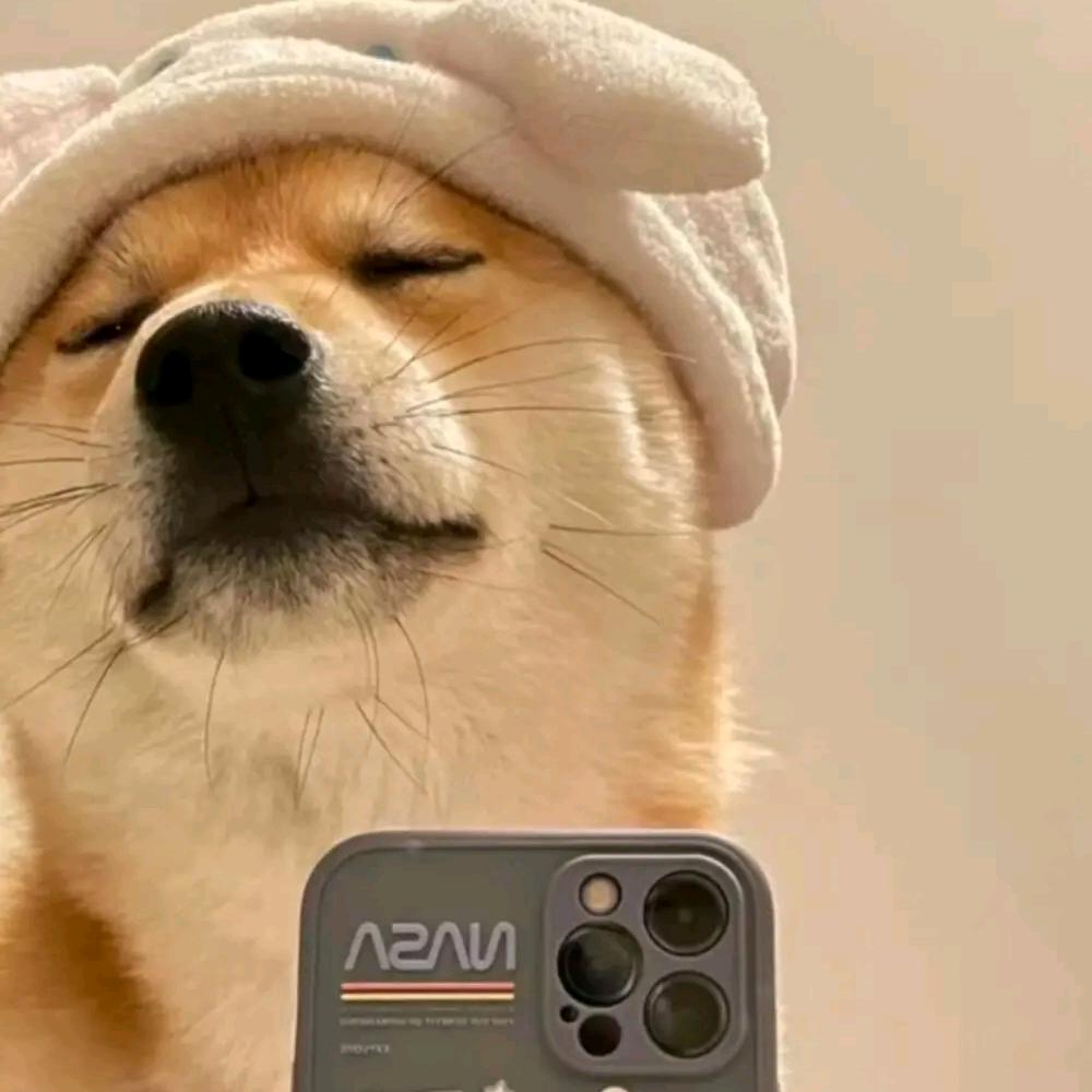 来福呀
