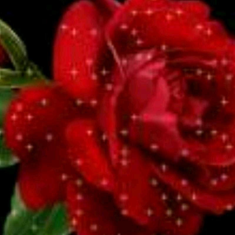 开心玫瑰🌹🌹🌹🌹《拒私聊》