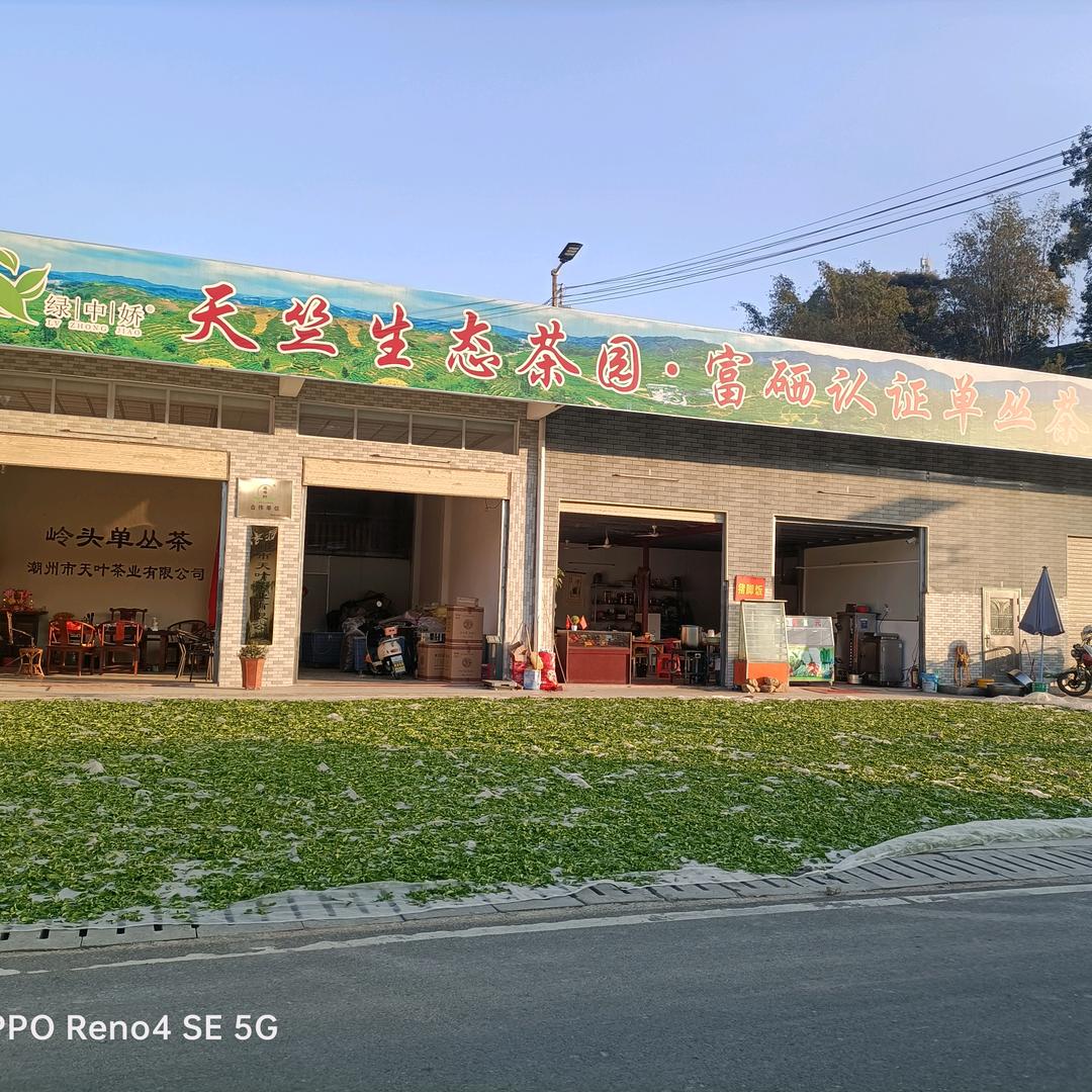 高山茶轩【梦江南】