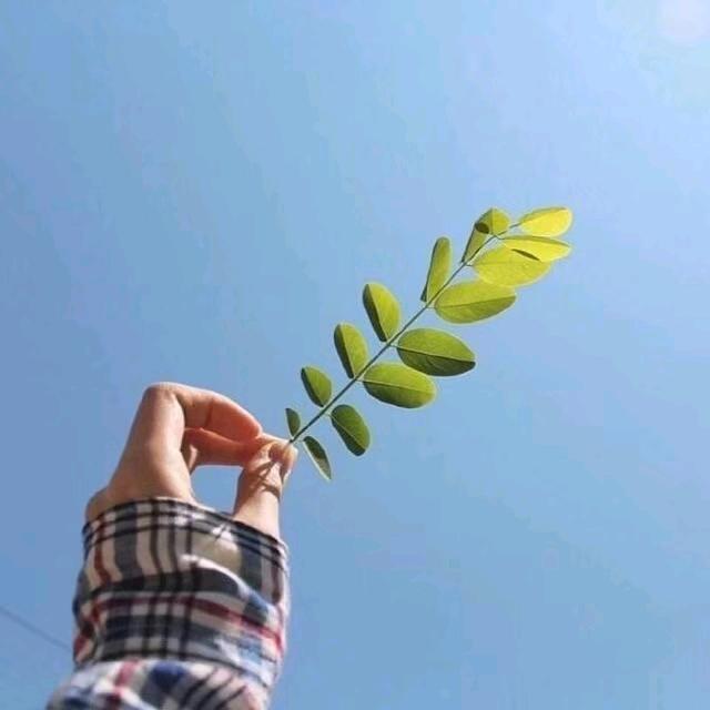 阿美百货（商品在商品橱窗）