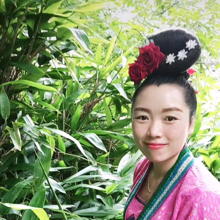 苗寨燕子