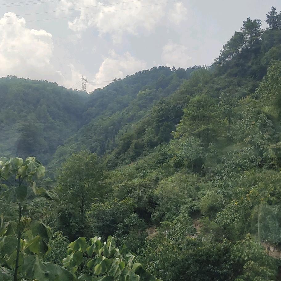 有缘相识
