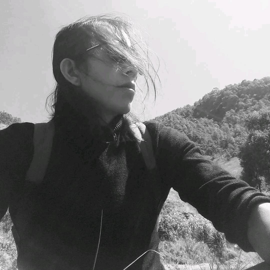 环海东路的白日梦想家