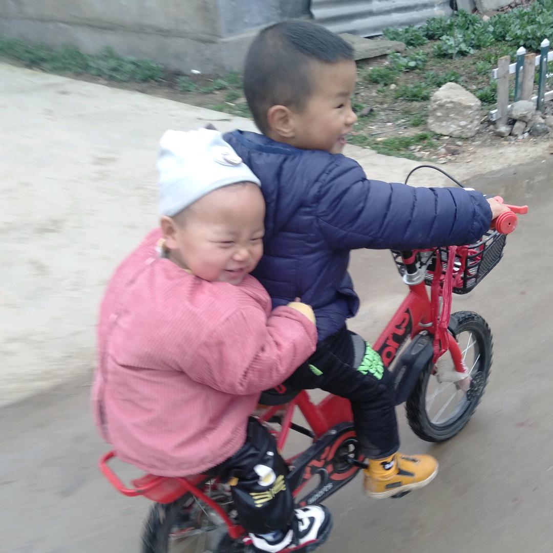 代关庙贺庄鸡苗