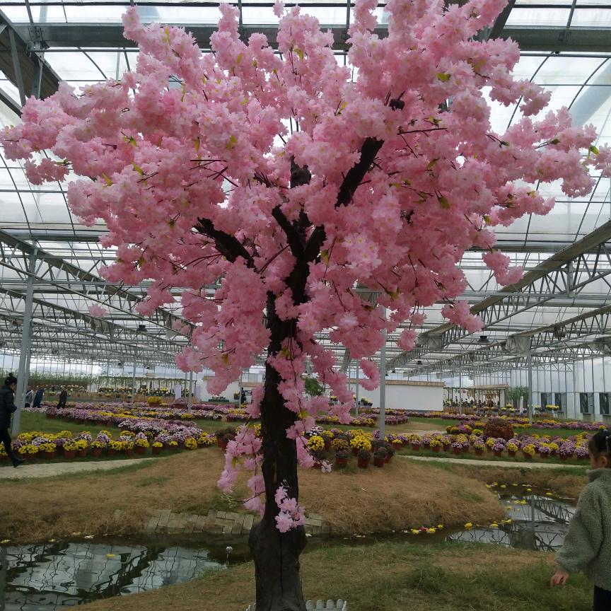 🌸浅浅一笑🌸