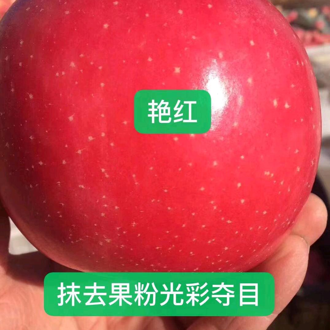 好运来，