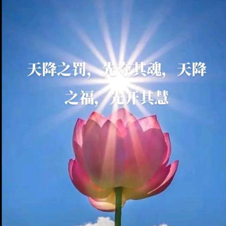 用感恩的心做人，用责任的心做事。
