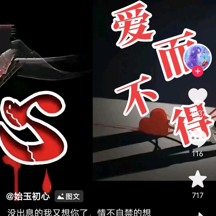 把孤独，喂饱