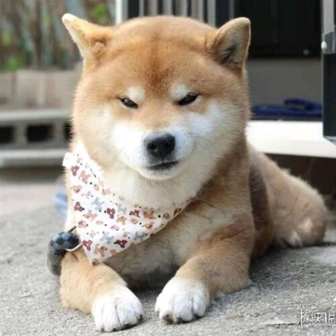达布溜