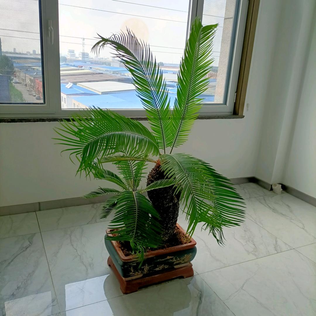 健康是福
