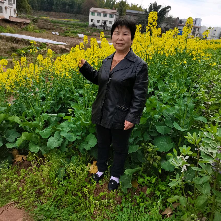 路遥