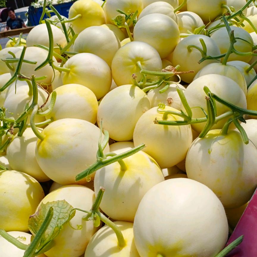 水果学者😘😘😘，哇塞赵哥❤❤💰?