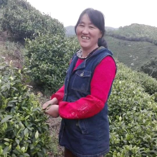 陈东莲